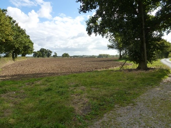 Fields near St Margaret's Church in South Elmham