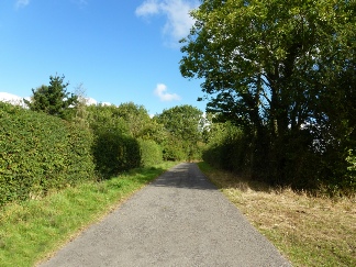 A lane near Bruisyard Church. 