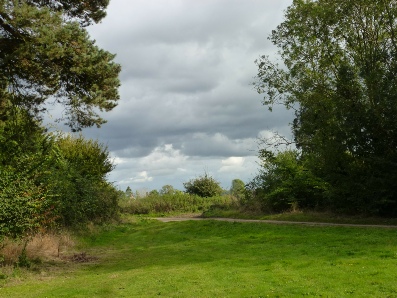 The land near St Andrew's Church.