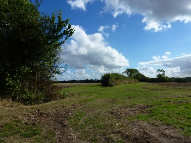 Fields in the Parish of Bruisyard