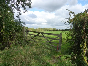 Fields in South Elmham St Margaret