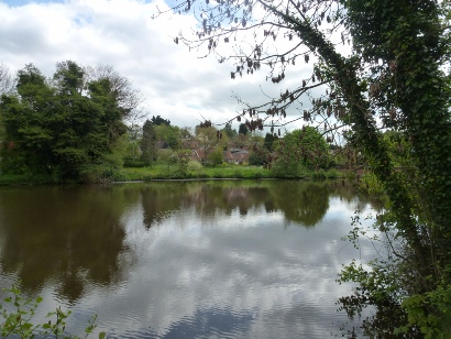 Pond at Polstead.