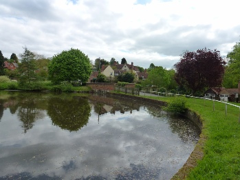 Polstead village pond.