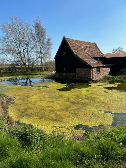 Near the village of Sweffling.