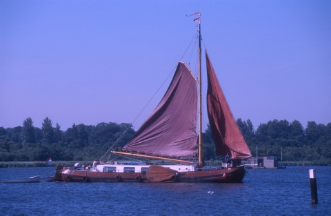 Wherry