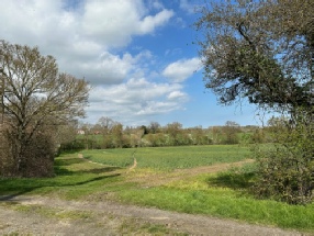 Countryside near Sweffling