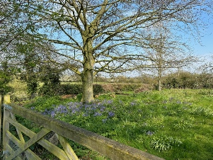 Near Great Glemham