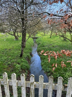Stream at Great Glemham.