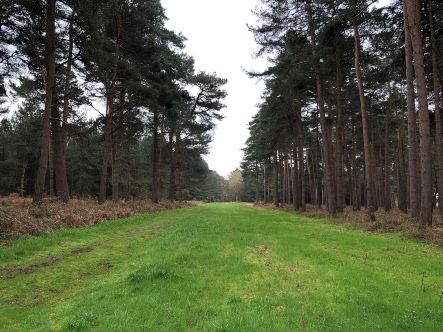 Near Farnham